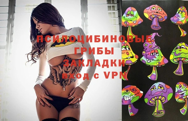 молекула духа Аркадак