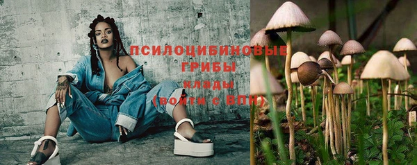 крисы Белокуриха