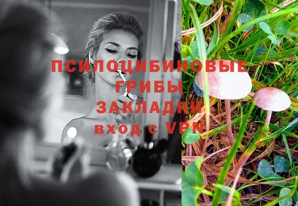 крисы Белокуриха