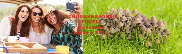 молекула духа Беломорск