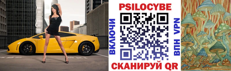 Псилоцибиновые грибы мицелий  Купить  Лыткарино 